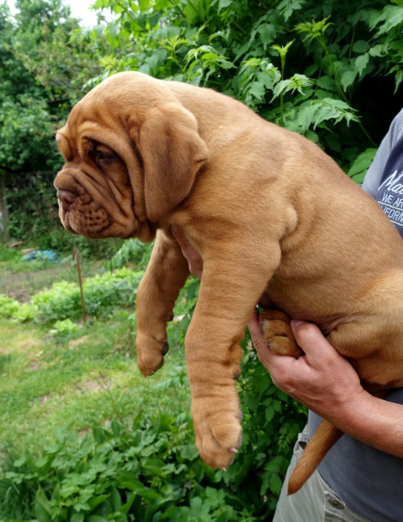 DSC04545