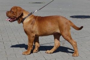 DSC05023-2